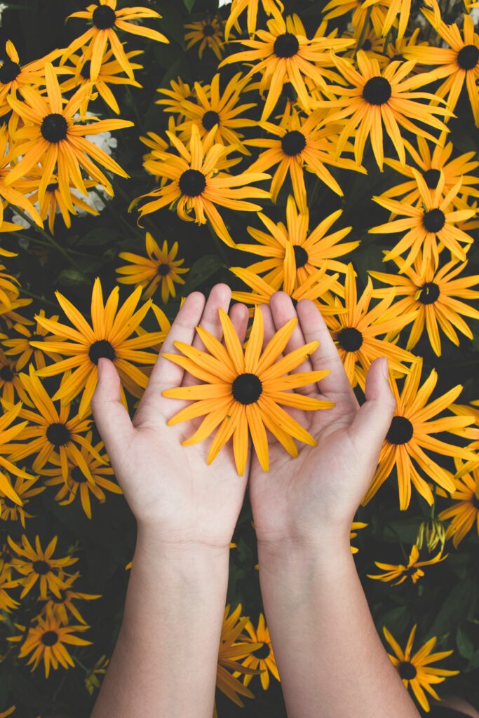 Chronic pain group picture of hands holding a flower 